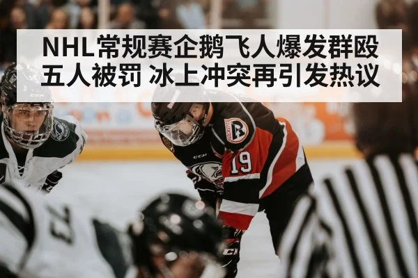 NHL常规赛企鹅飞人爆发群殴五人被罚 冰上冲突再引发热议
