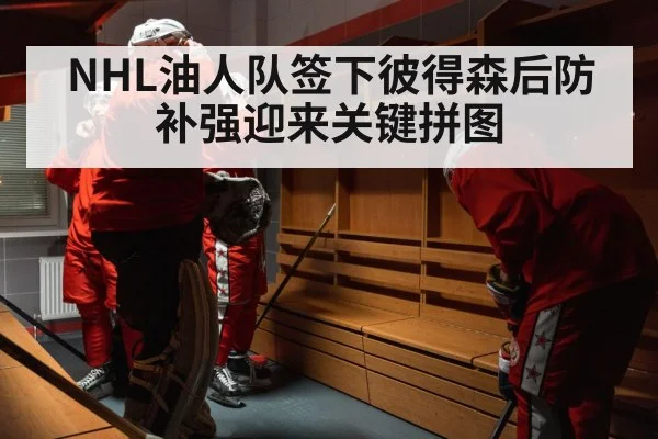 NHL油人队签下彼得森后防补强迎来关键拼图