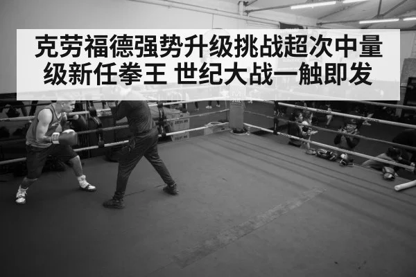 boxer training gym